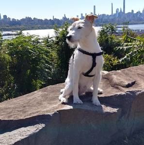 Meet your Posher, Margaret